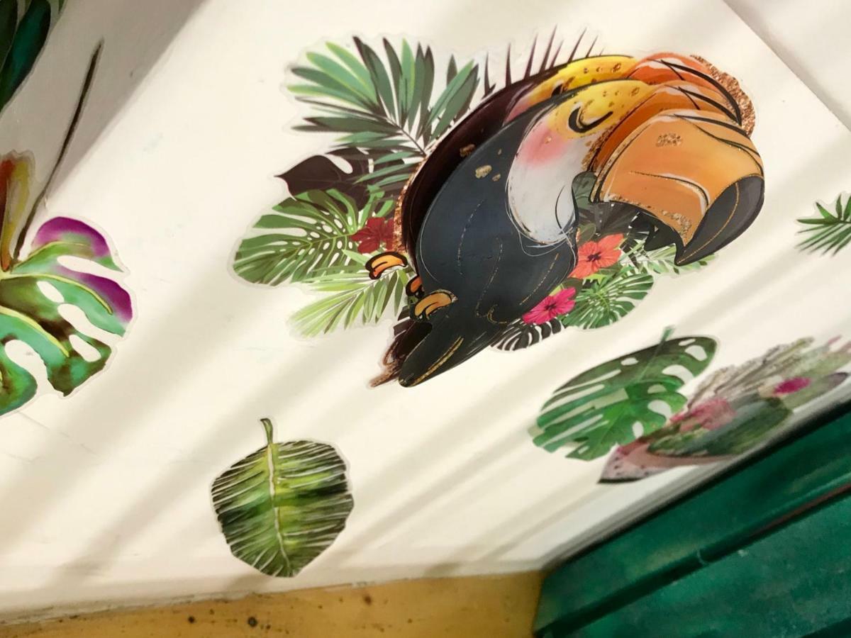 La Finestrella Dell'Arte Un Orizzonte Da Guardare Appartement Anzio Buitenkant foto