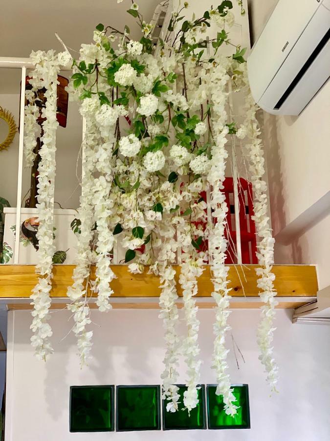 La Finestrella Dell'Arte Un Orizzonte Da Guardare Appartement Anzio Buitenkant foto